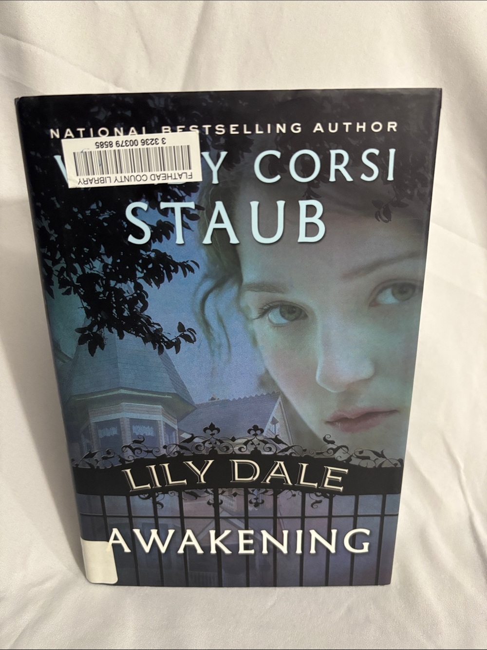 Lily Dale Awakening by Wendy Corsi Staub